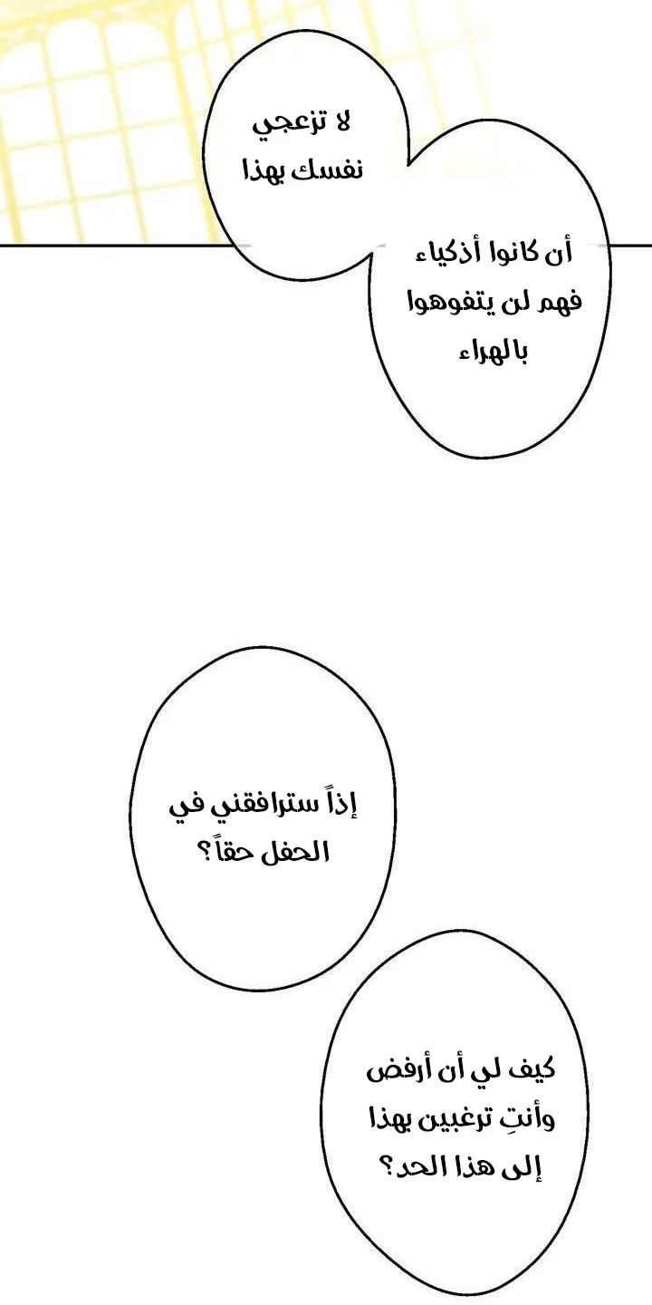 الصفحة 38 من 64