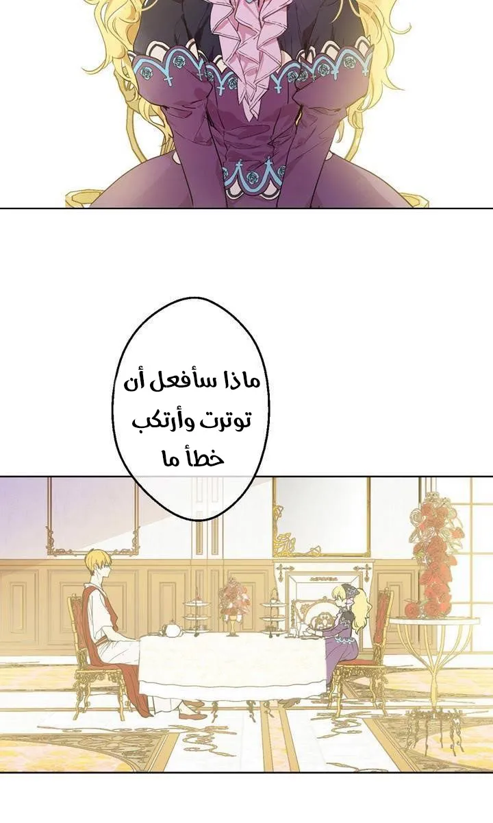 الصفحة 20 من 64