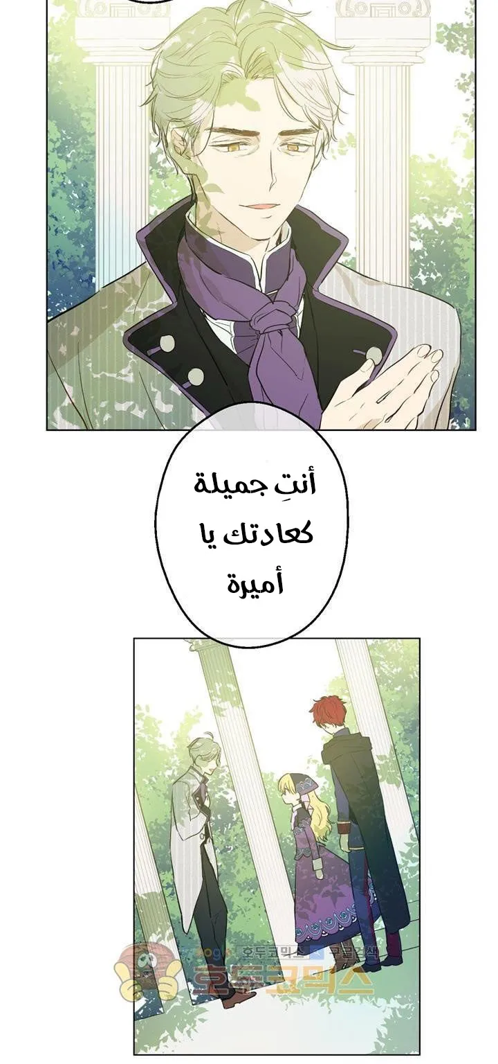 الصفحة 51 من 64