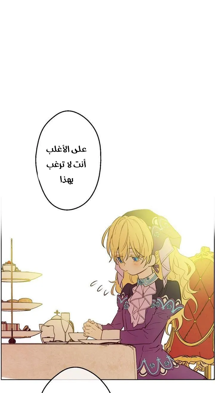الصفحة 29 من 64