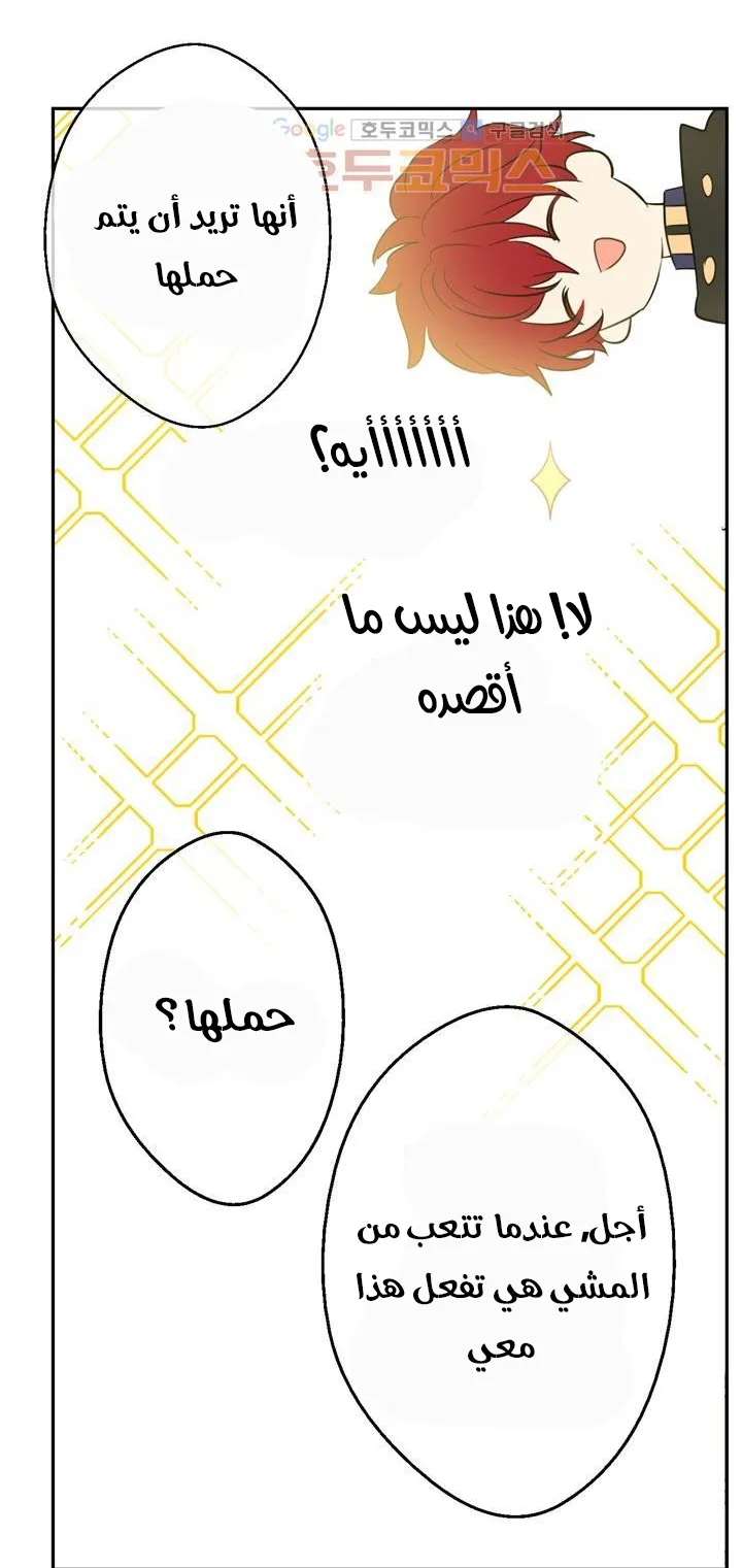 الصفحة 26 من 72