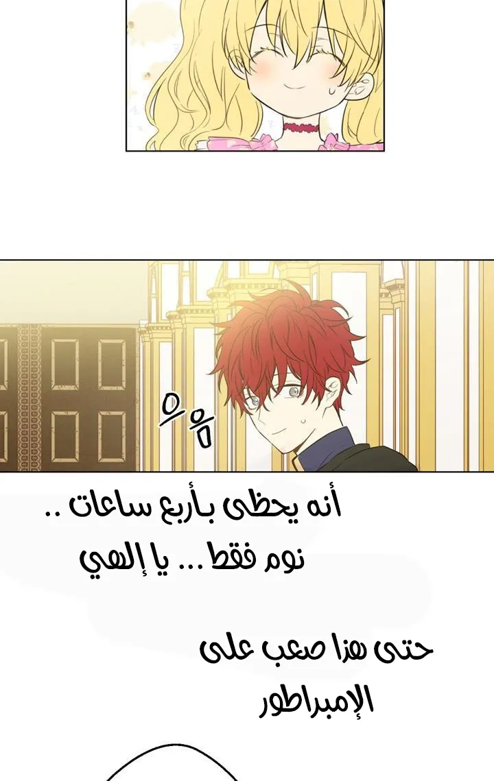 الصفحة 20 من 72
