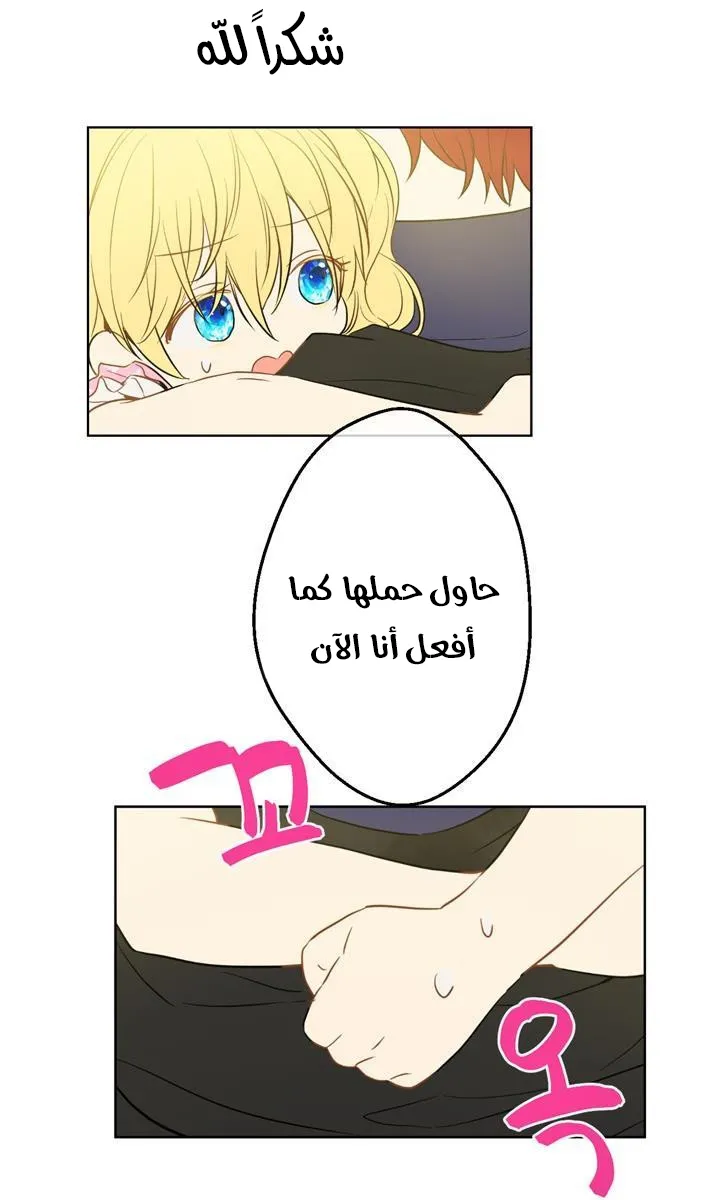 الصفحة 33 من 72