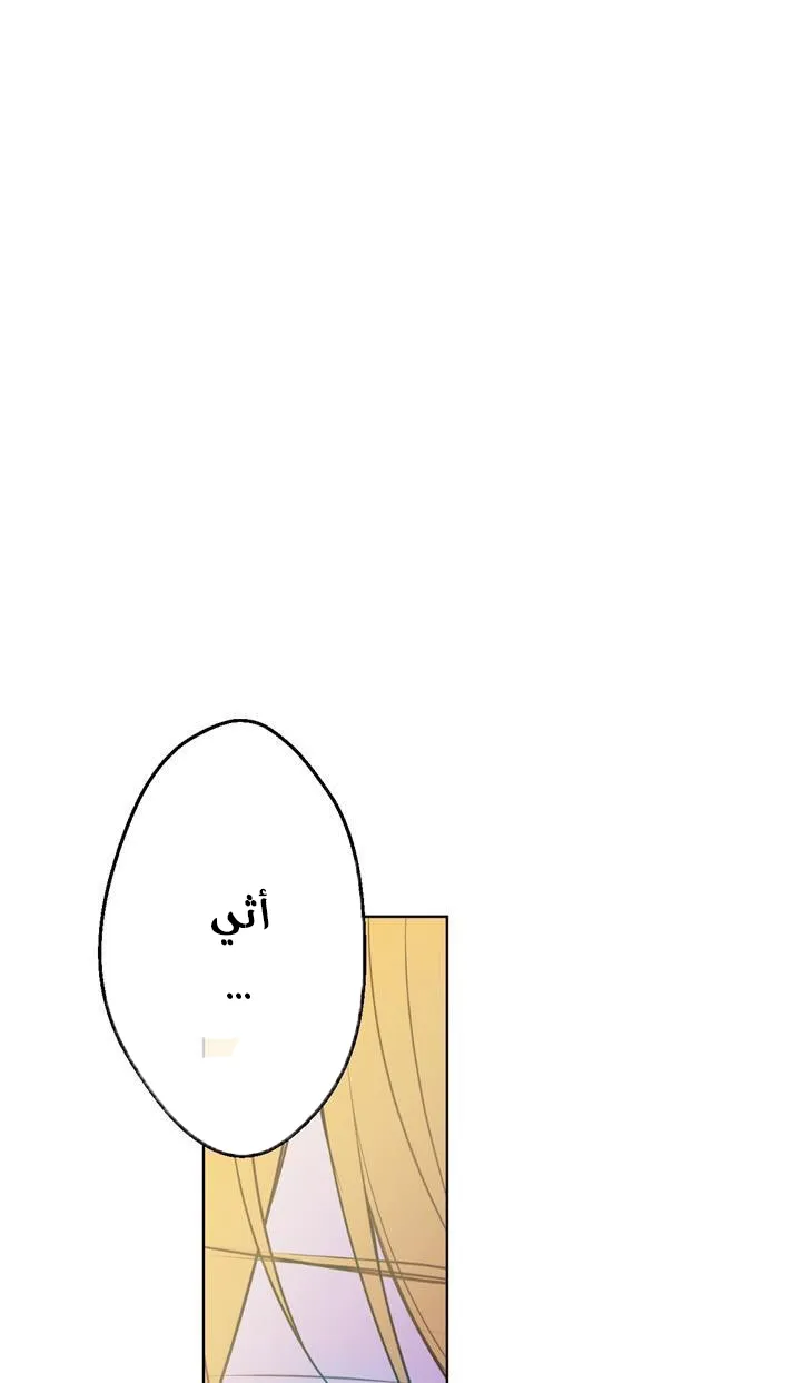 الصفحة 38 من 72