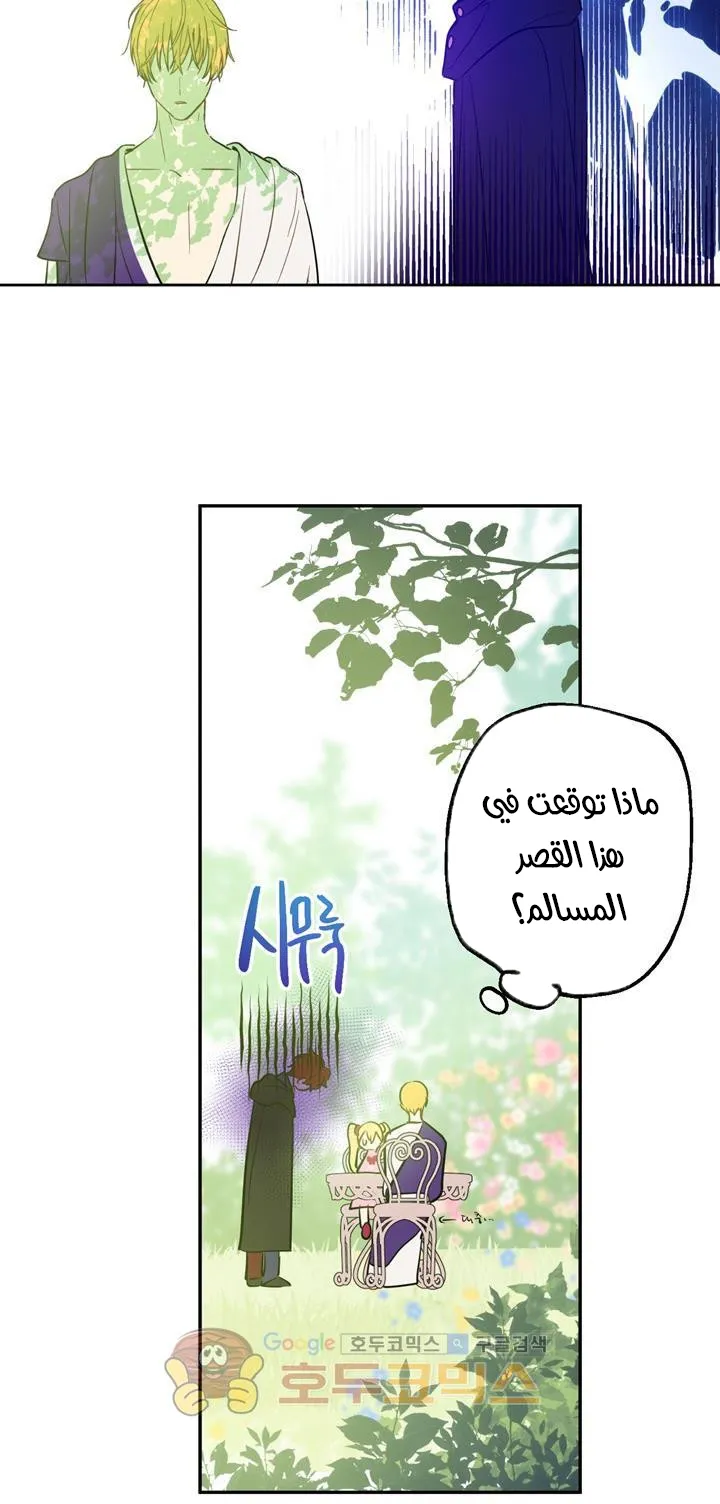 الصفحة 61 من 72
