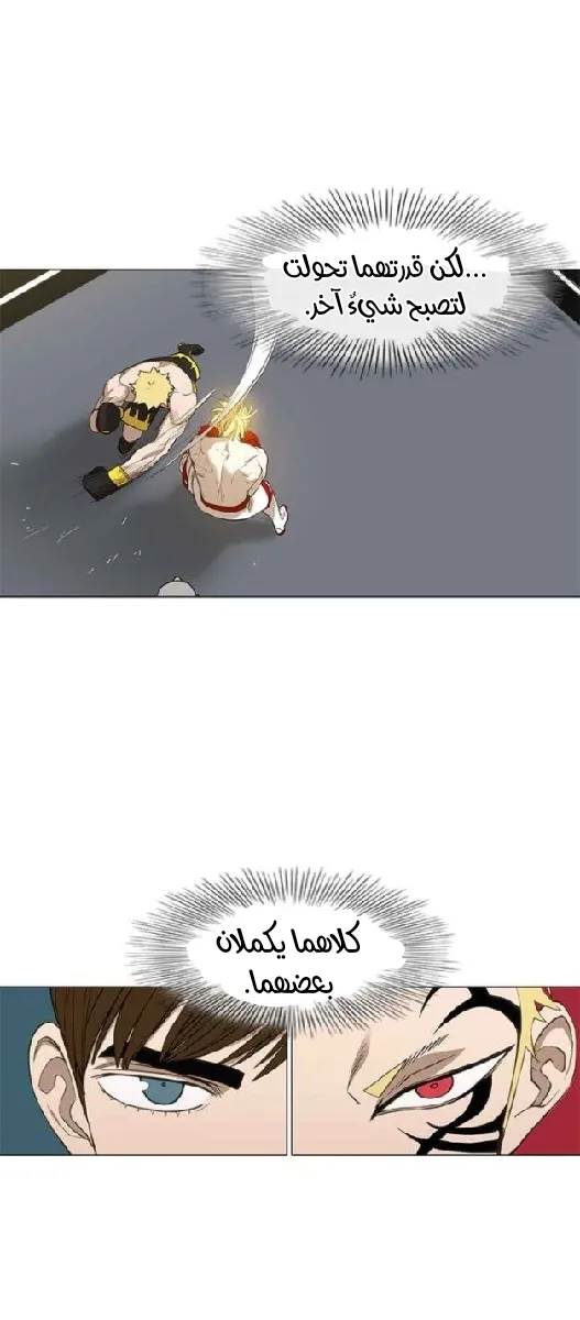 الصفحة 19 من 71