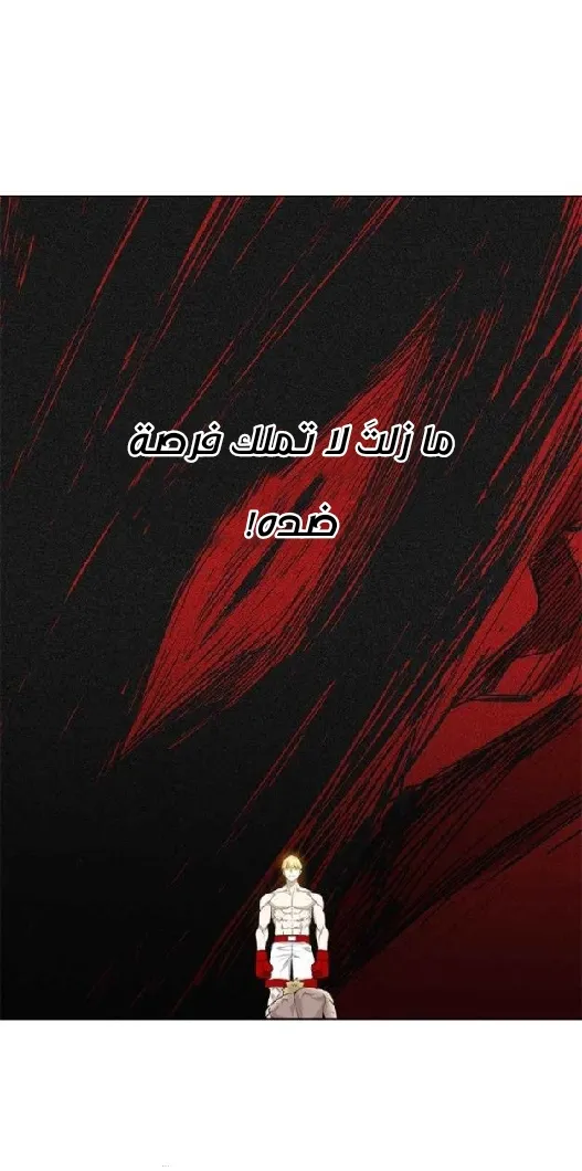 الصفحة 34 من 71