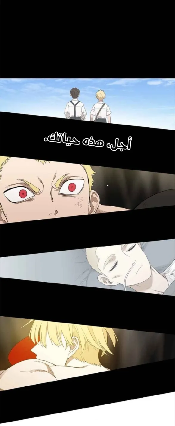 الصفحة 46 من 71