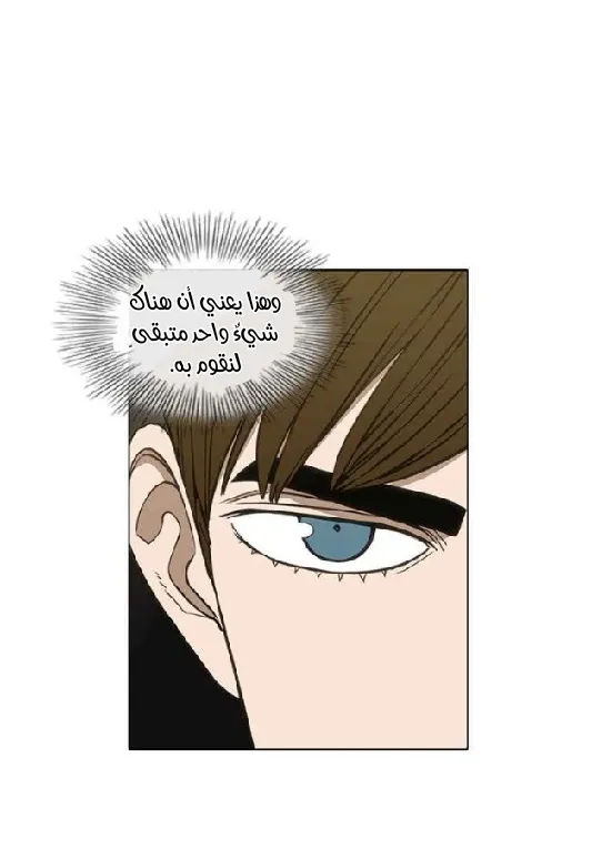 الصفحة 17 من 71