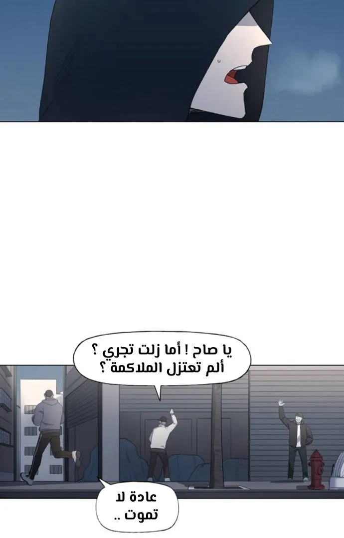 الصفحة 13 من 100