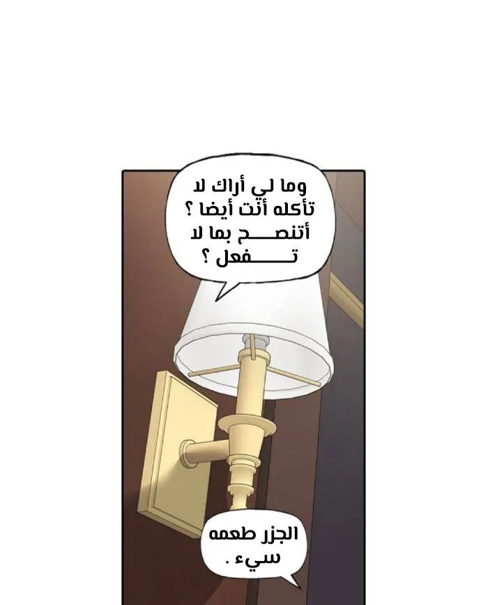 الصفحة 26 من 100