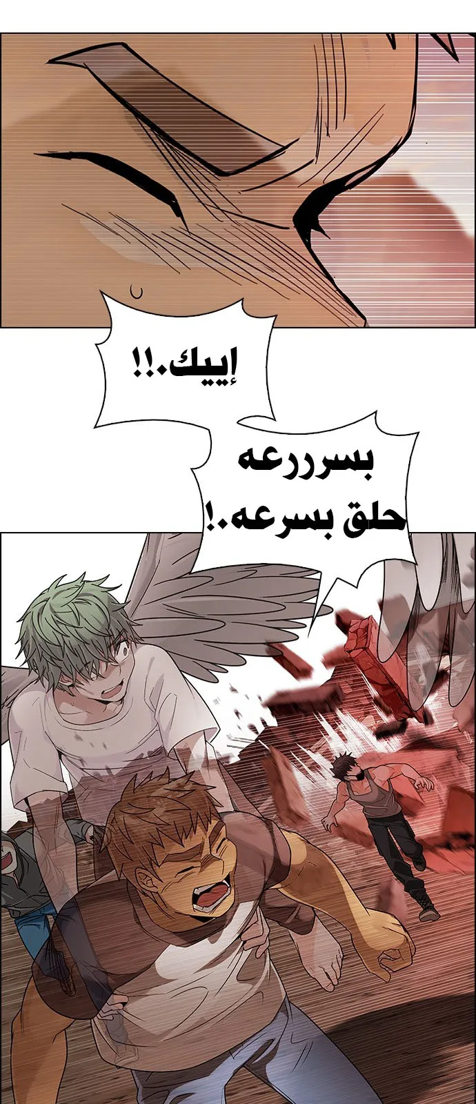 الصفحة 12 من 51