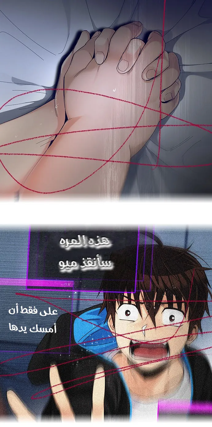 الصفحة 22 من 51