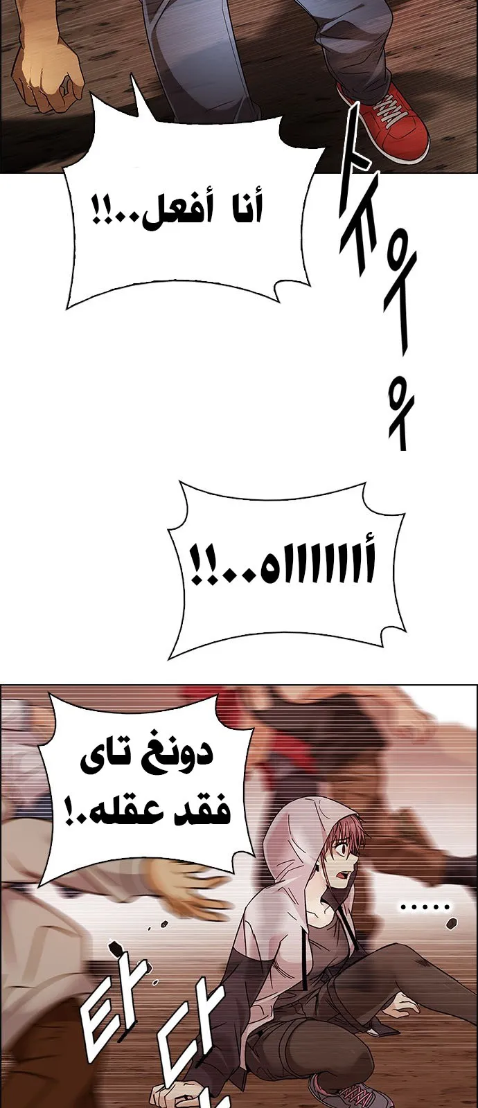 الصفحة 13 من 51