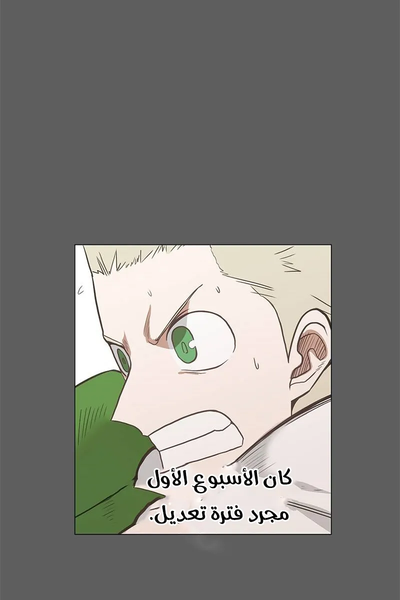 الصفحة 39 من 100