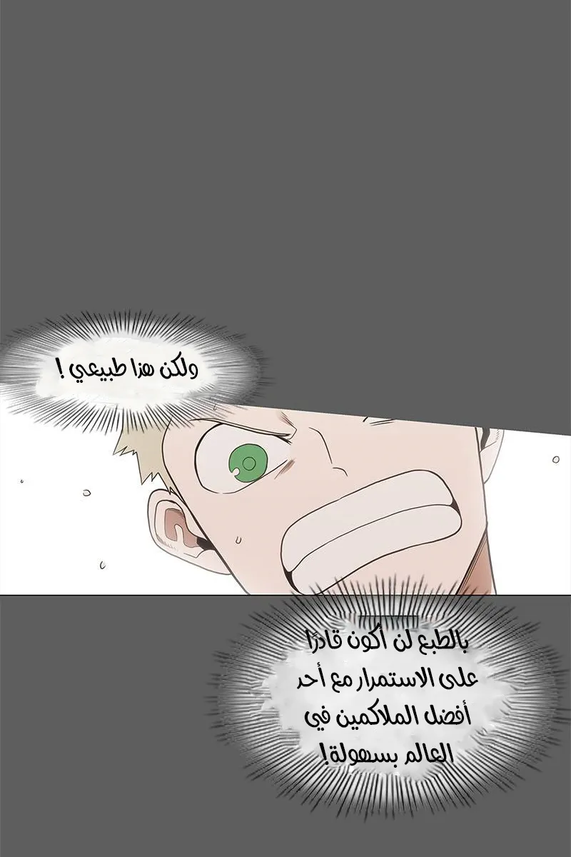 الصفحة 55 من 100