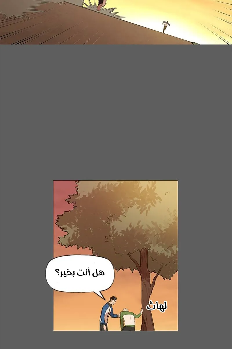 الصفحة 37 من 100