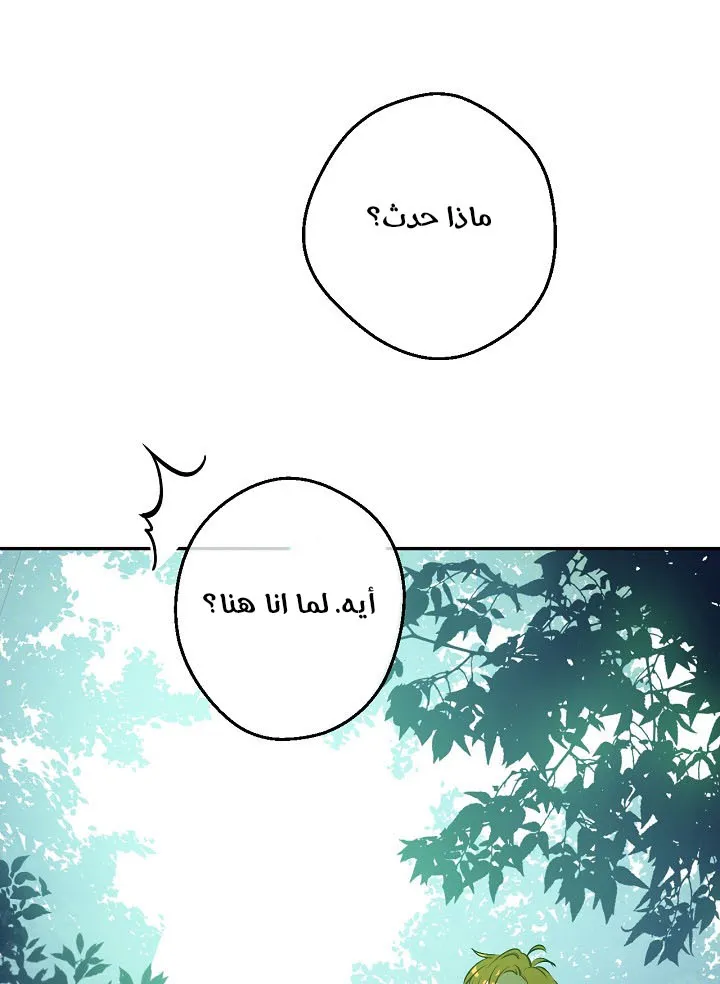الصفحة 18 من 62