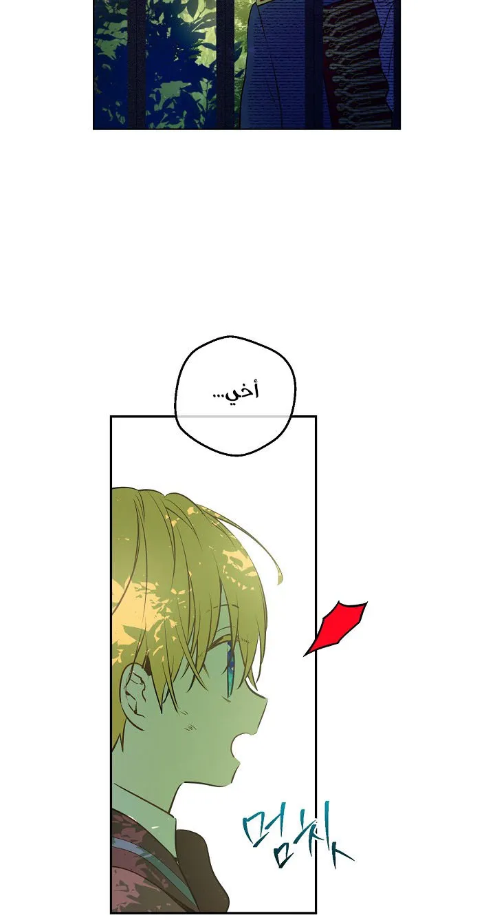 الصفحة 10 من 62