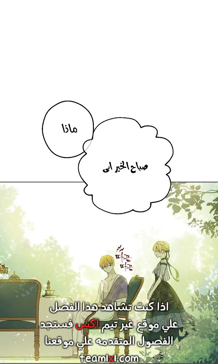 الصفحة 42 من 62