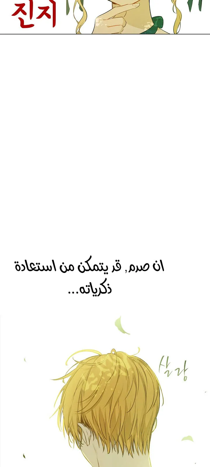 الصفحة 37 من 62