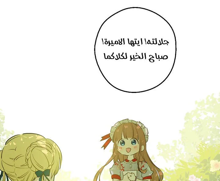 الصفحة 44 من 62