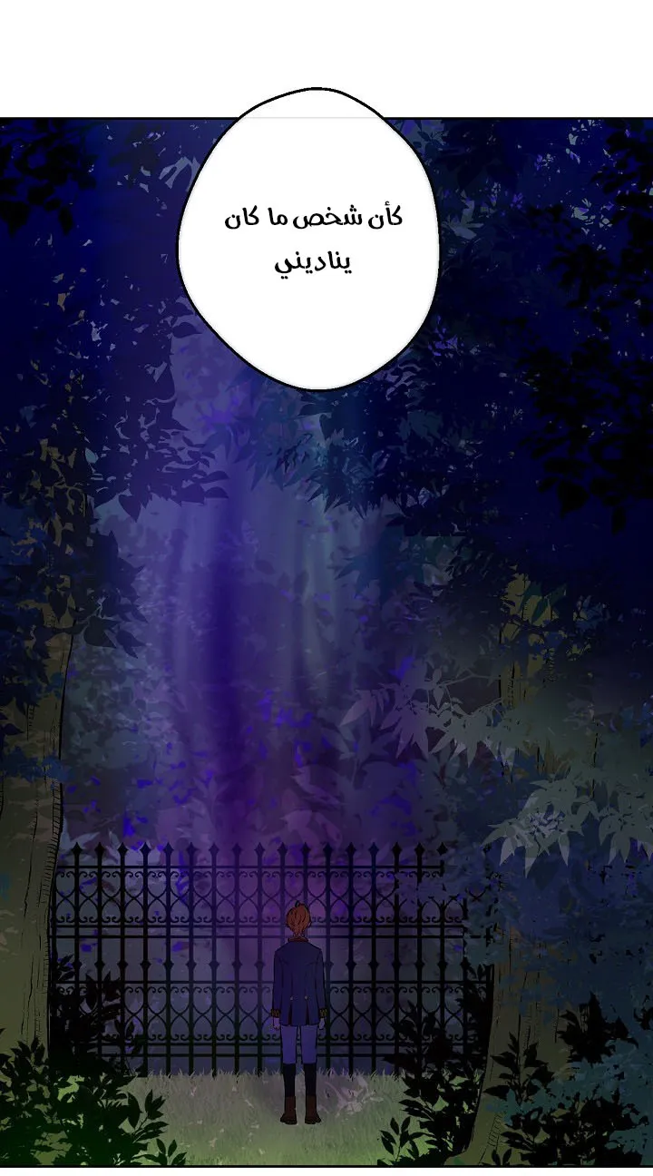الصفحة 20 من 62
