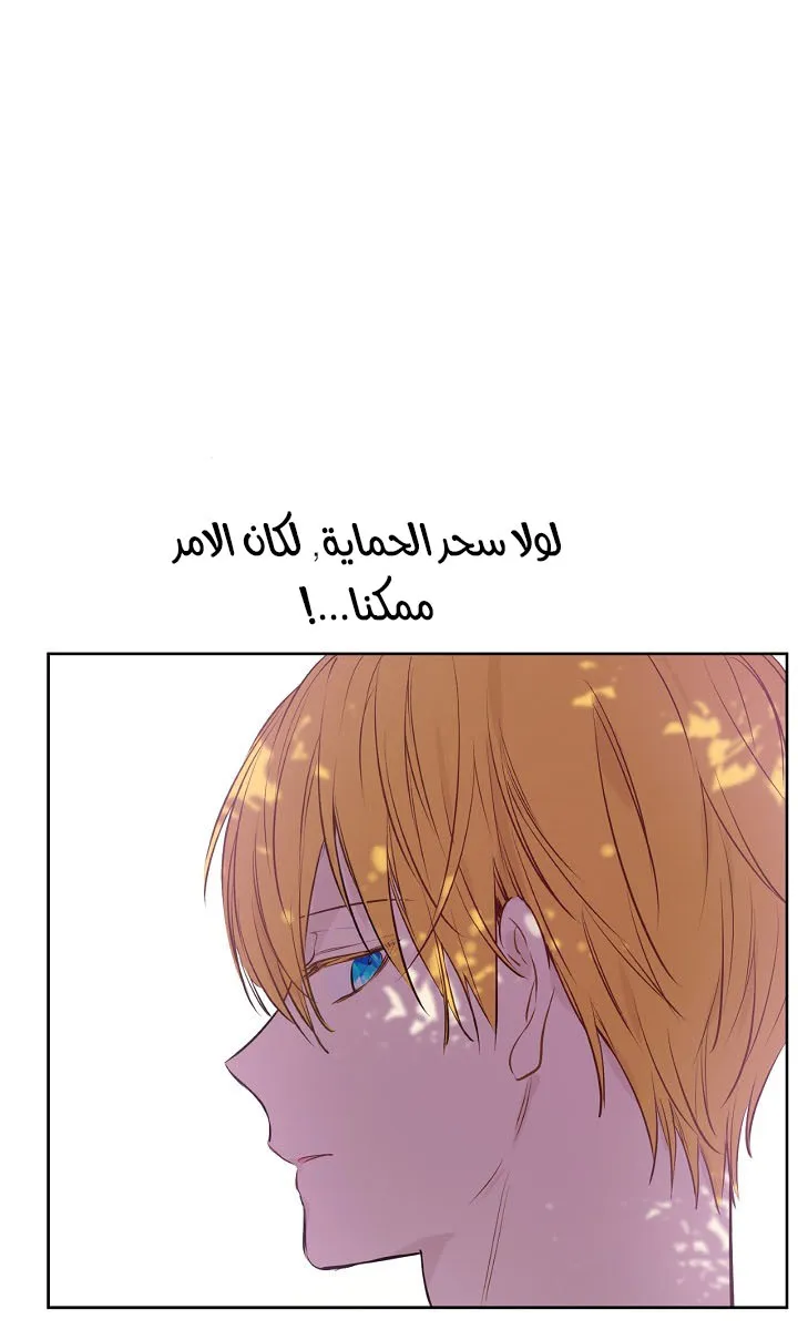 الصفحة 41 من 62