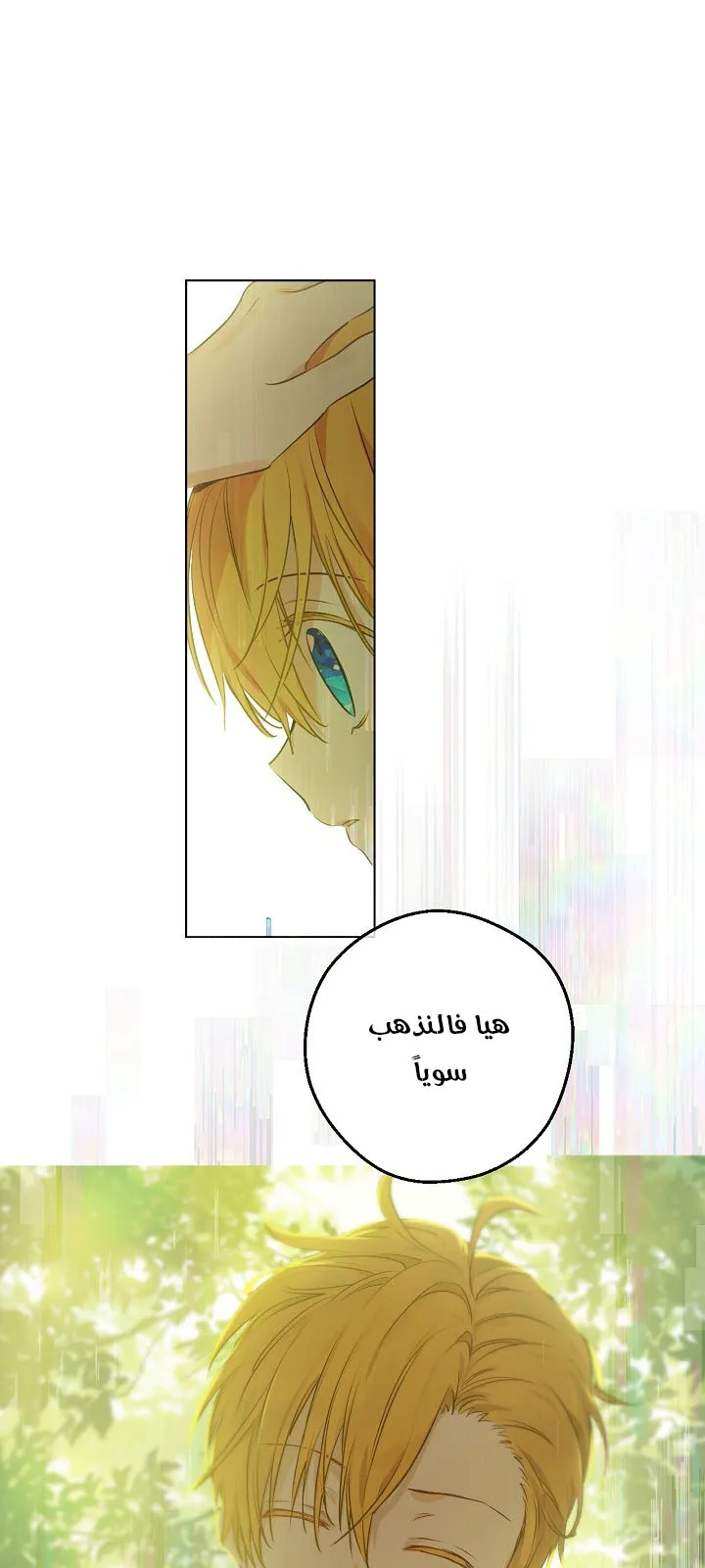 الصفحة 24 من 62