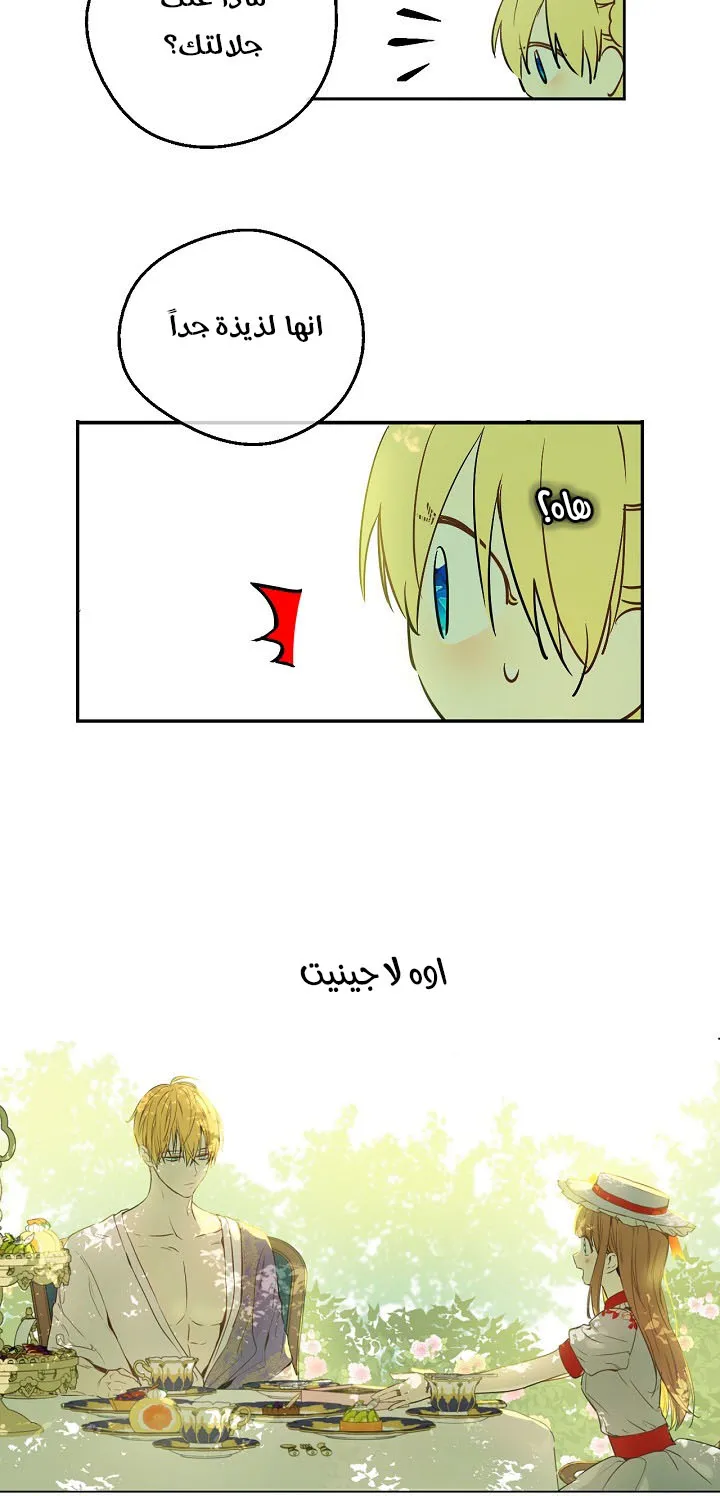 الصفحة 54 من 62