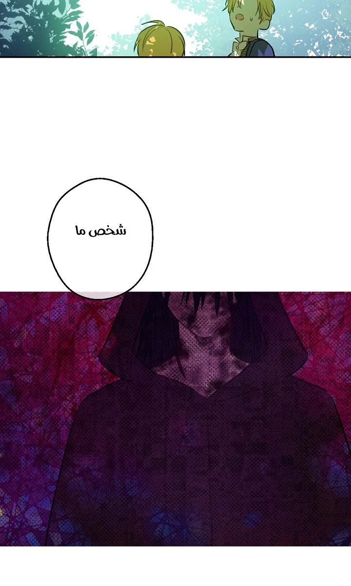 الصفحة 19 من 62