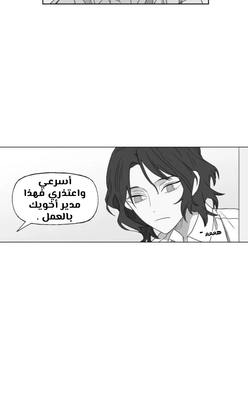 الصفحة 27 من 100