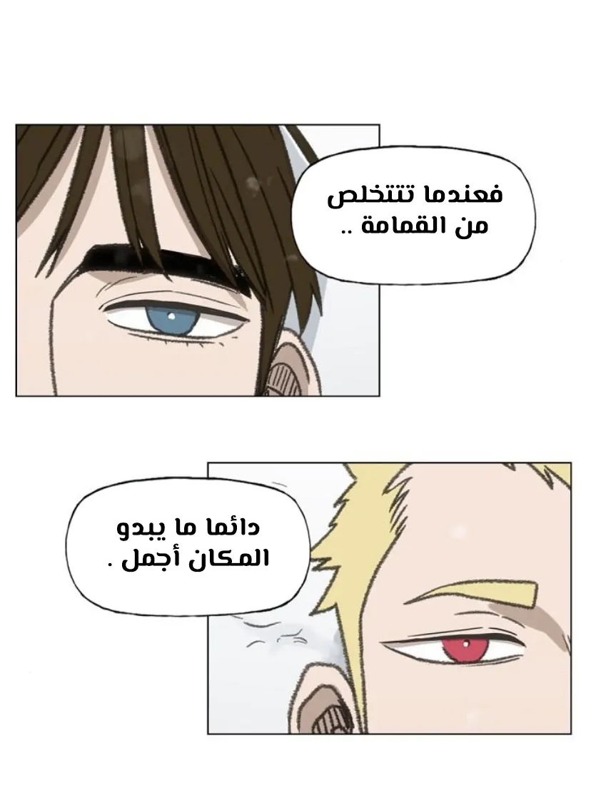 الصفحة 81 من 100