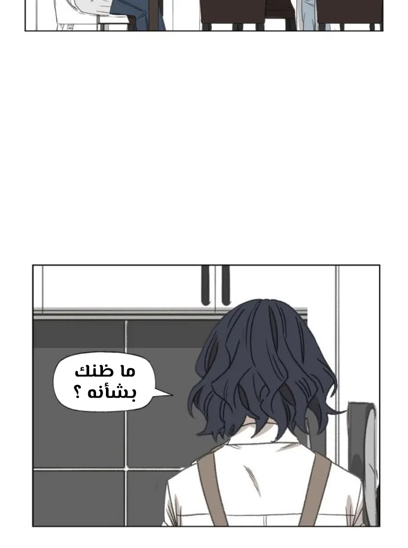 الصفحة 92 من 100