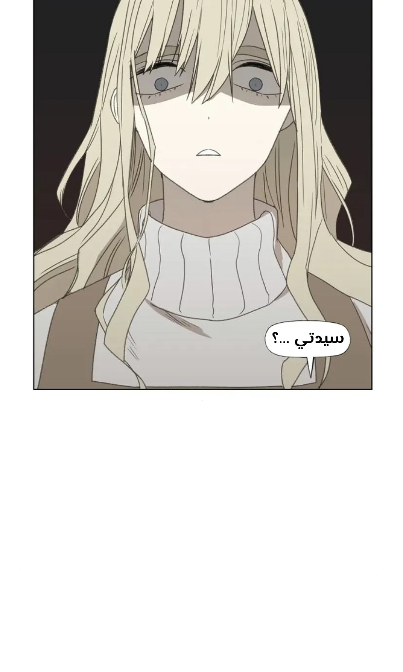 الصفحة 36 من 100