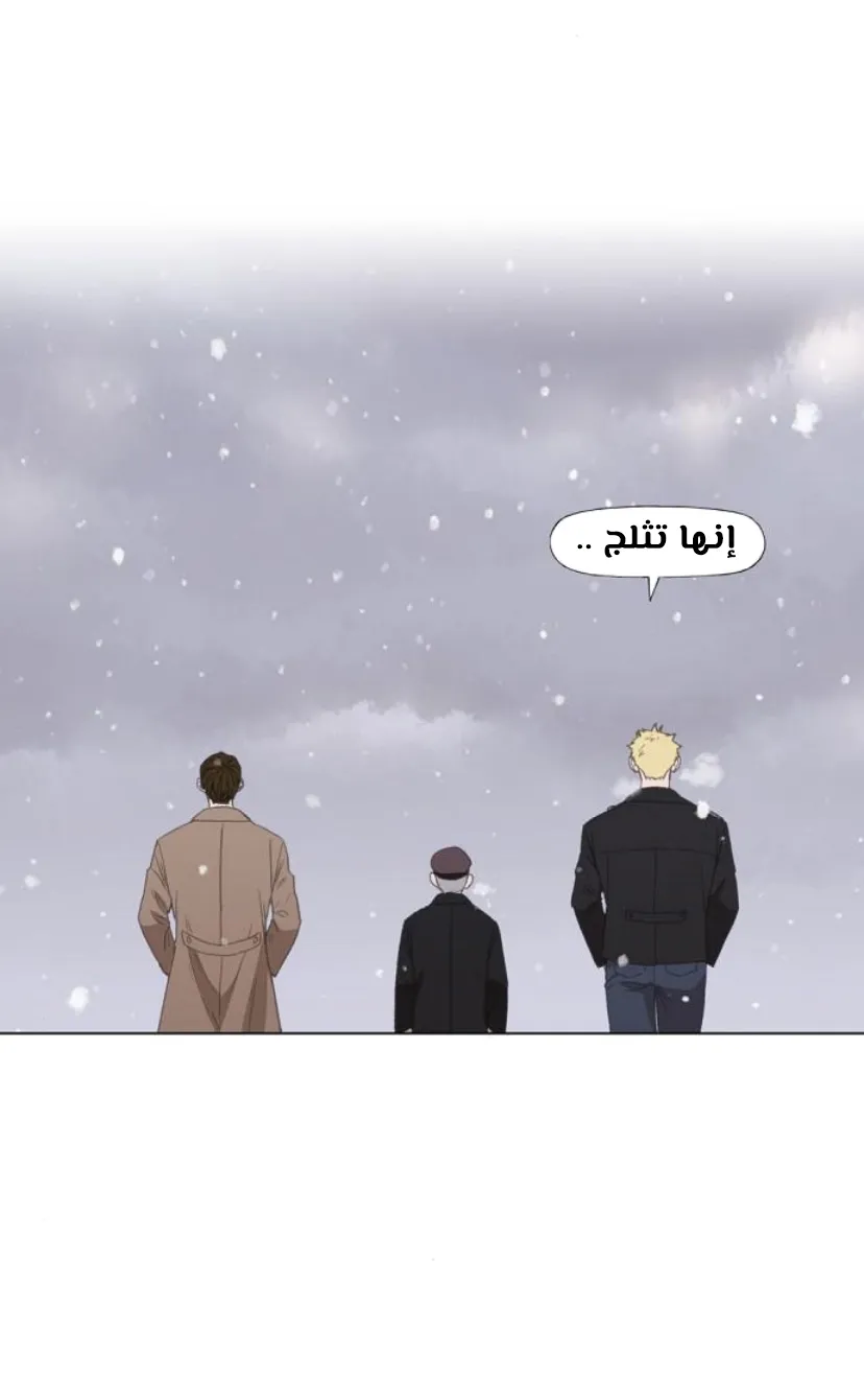 الصفحة 17 من 100