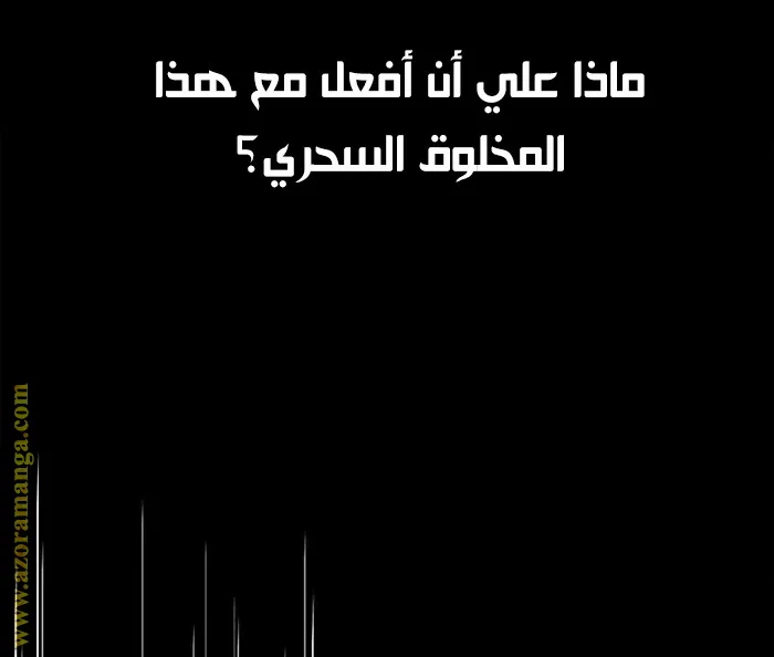 الصفحة 49 من 125