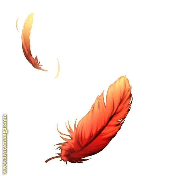 الصفحة 13 من 88