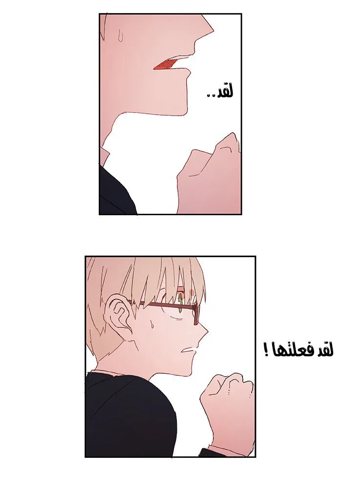 الصفحة 43 من 58