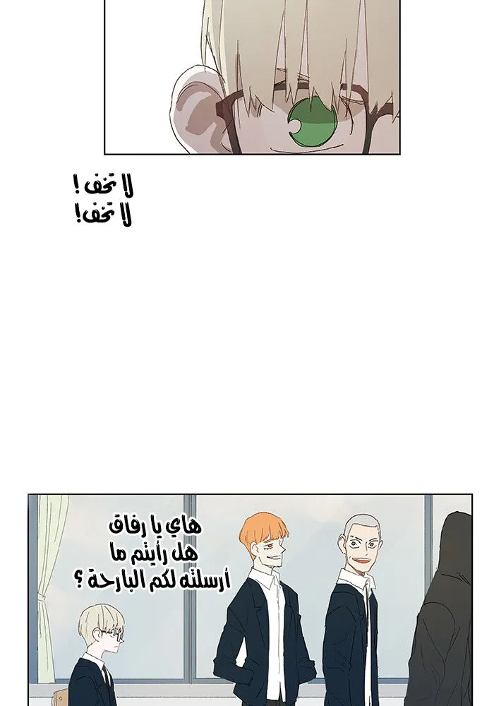 الصفحة 13 من 58