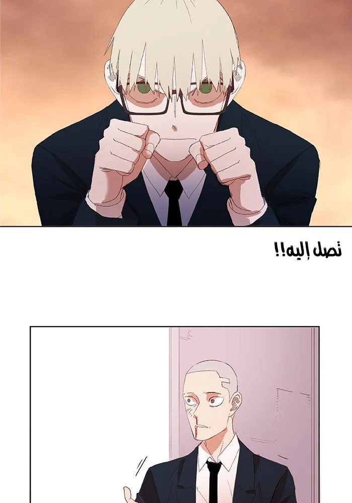 الصفحة 46 من 58