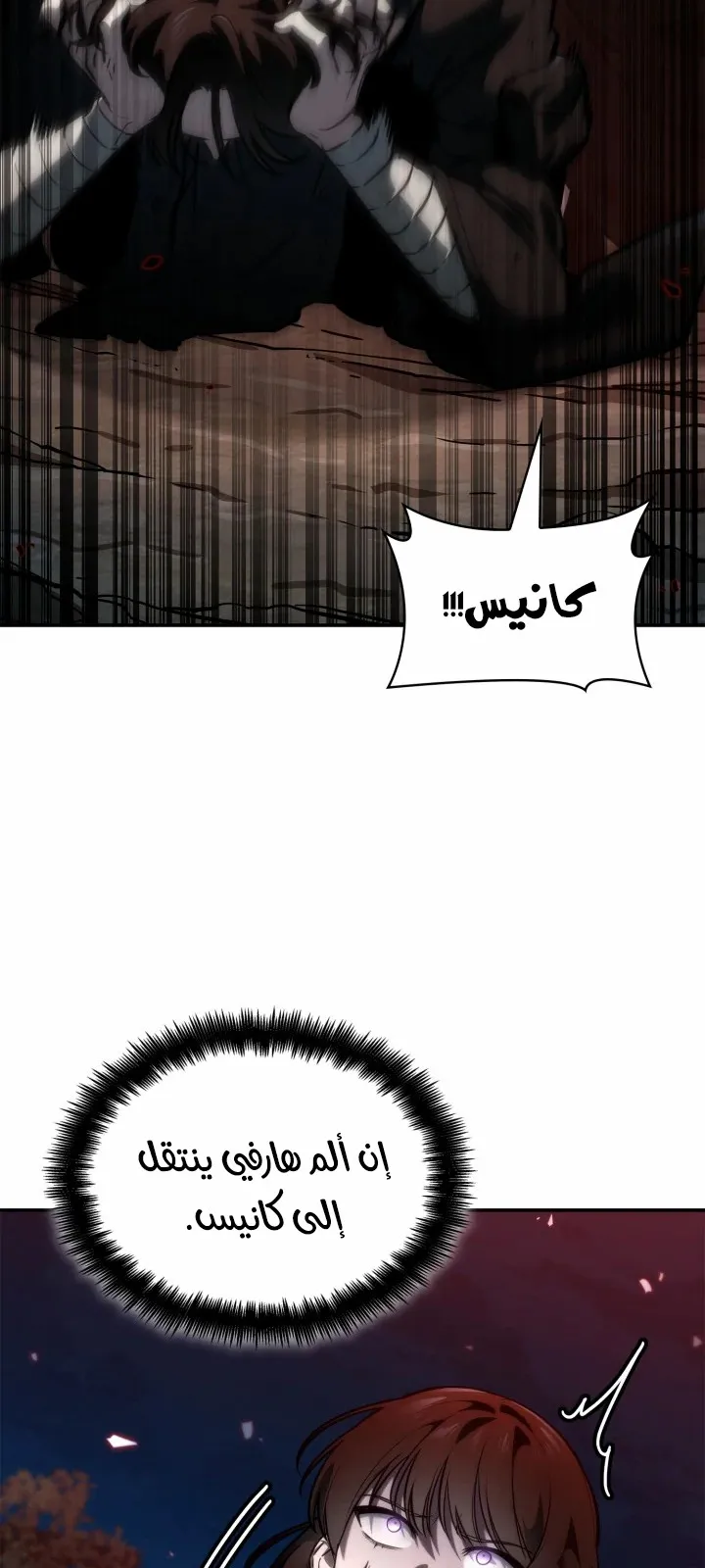 الصفحة 111 من 124