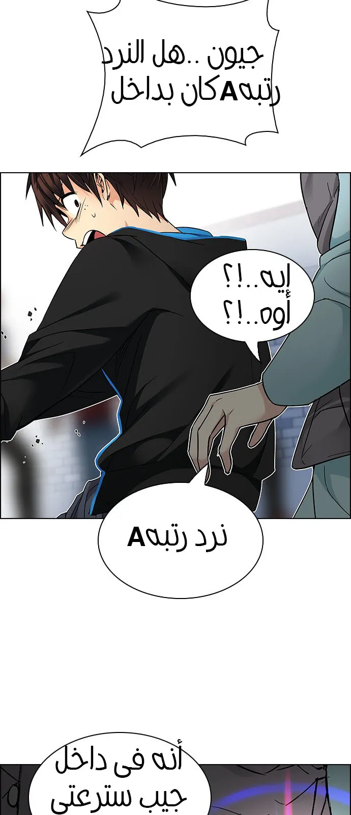 الصفحة 19 من 56