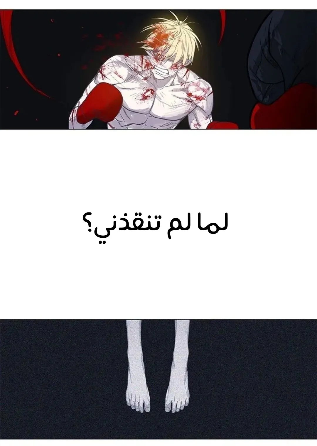 الصفحة 32 من 259