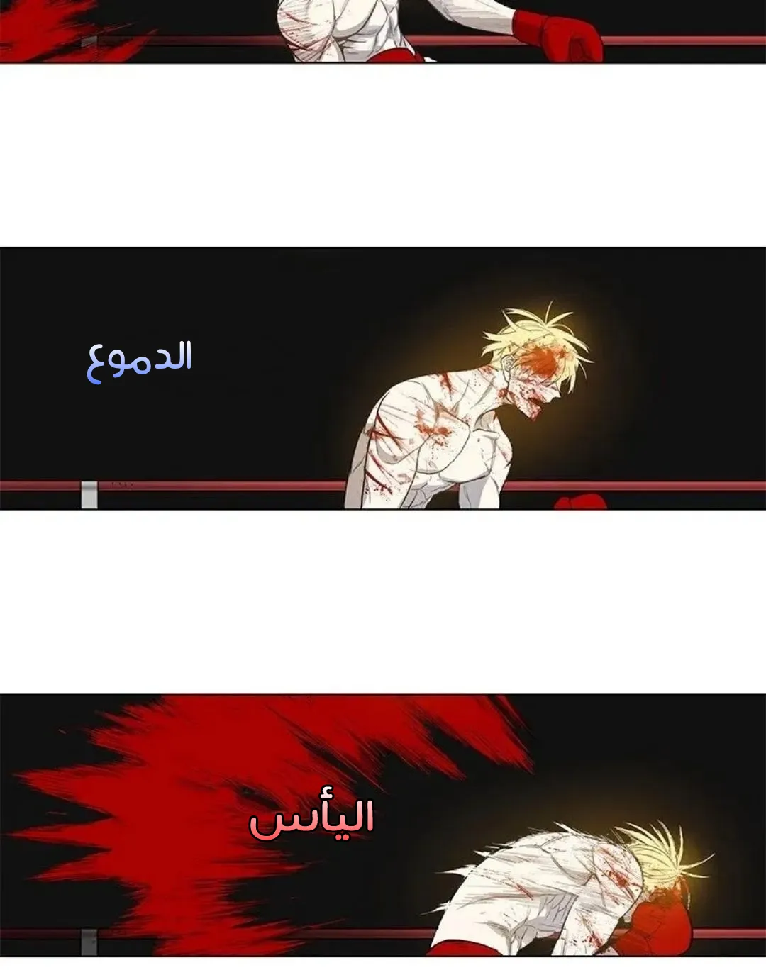 الصفحة 11 من 259