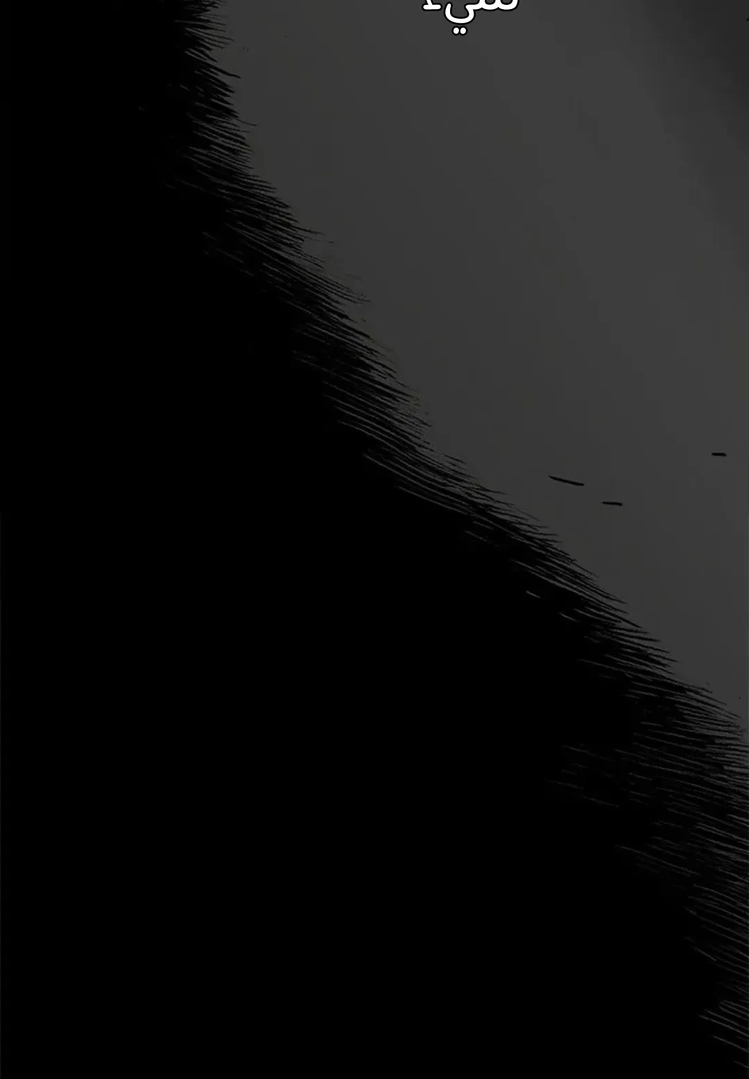 الصفحة 105 من 259