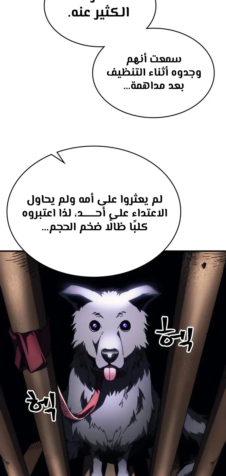 الصفحة 17 من 67