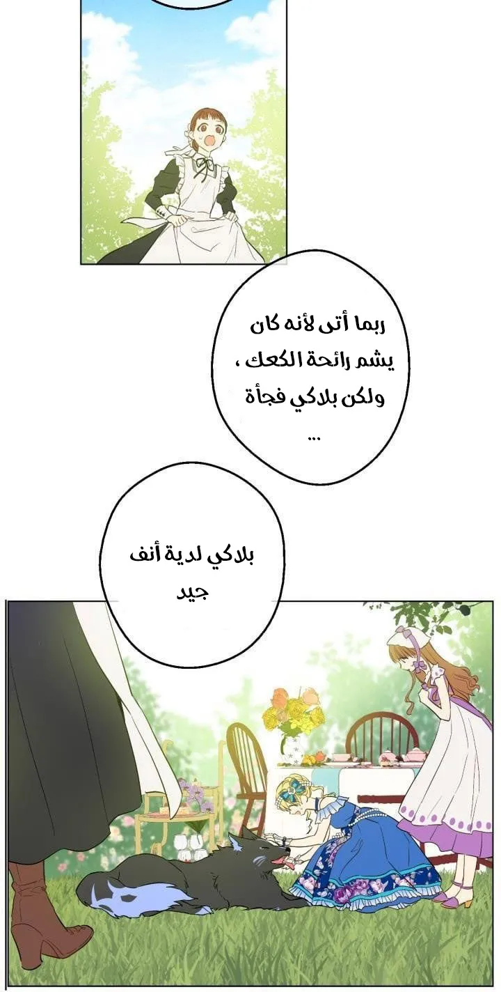 الصفحة 20 من 47
