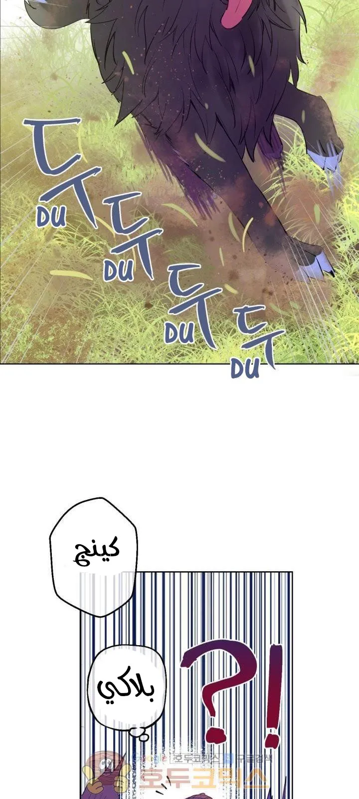 الصفحة 12 من 47