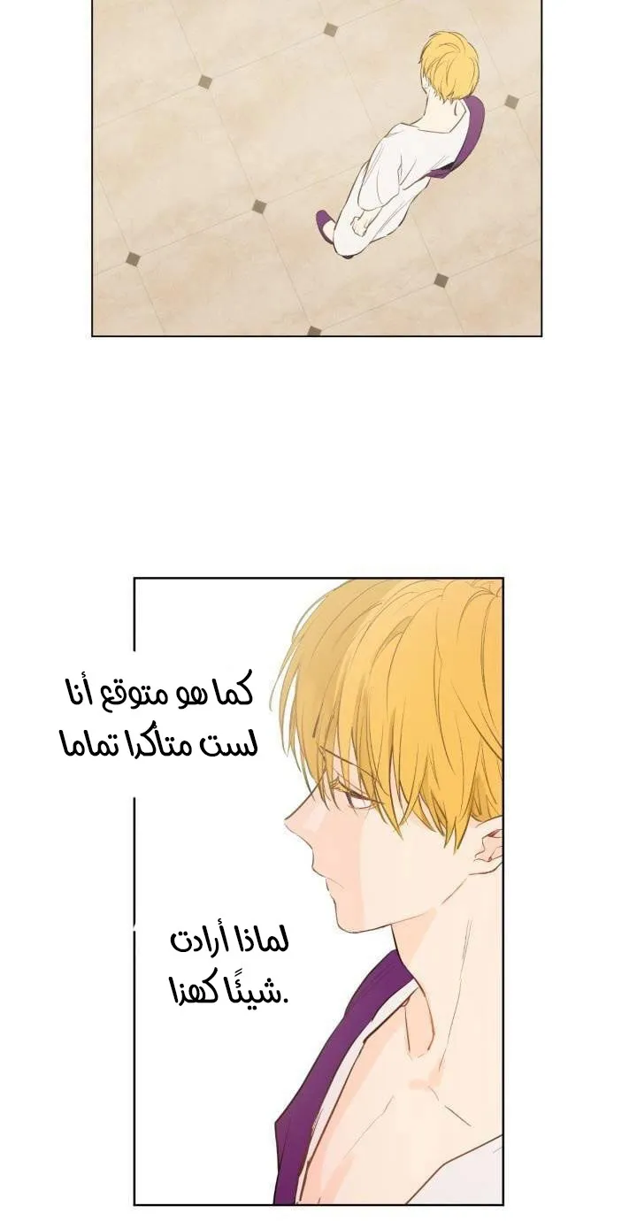 الصفحة 41 من 47